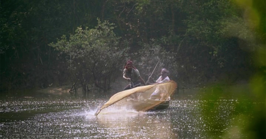 La forêt des Sunderbans